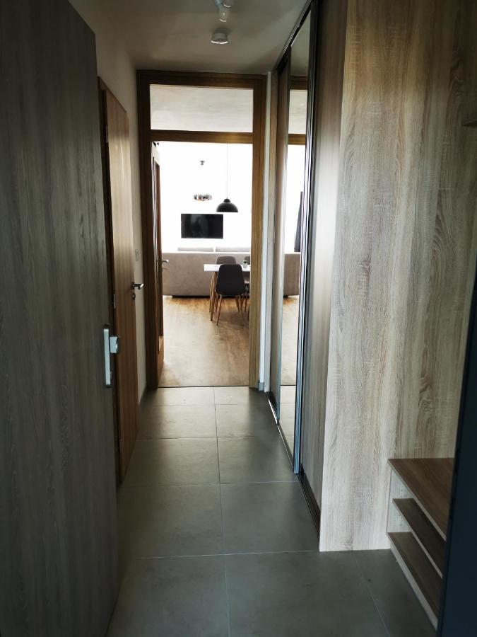Apartman Mlynska Strouha Plzen Exterior photo